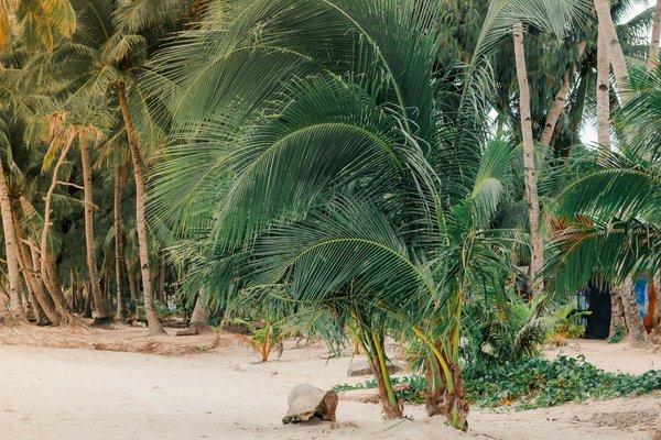 Quels sont les meilleurs conseils pour une randonnée dans le parc national de Torres del Paine, Chili?