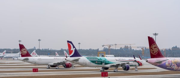 Comment planifier une expédition pour observer les flamants roses dans le Salar de Uyuni, Bolivie : équipements et périodes idéales ?